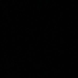 Meet your Posher, Sasha